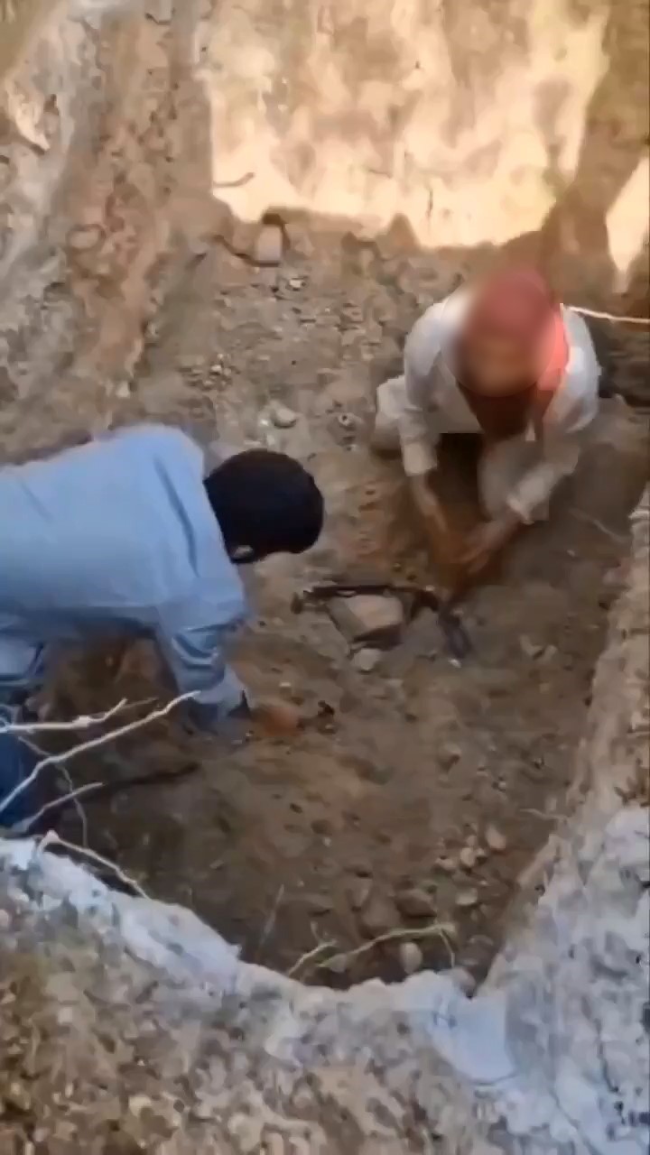 bursada-olen-kopekleri-mezardan-cikarmaya-calistilar