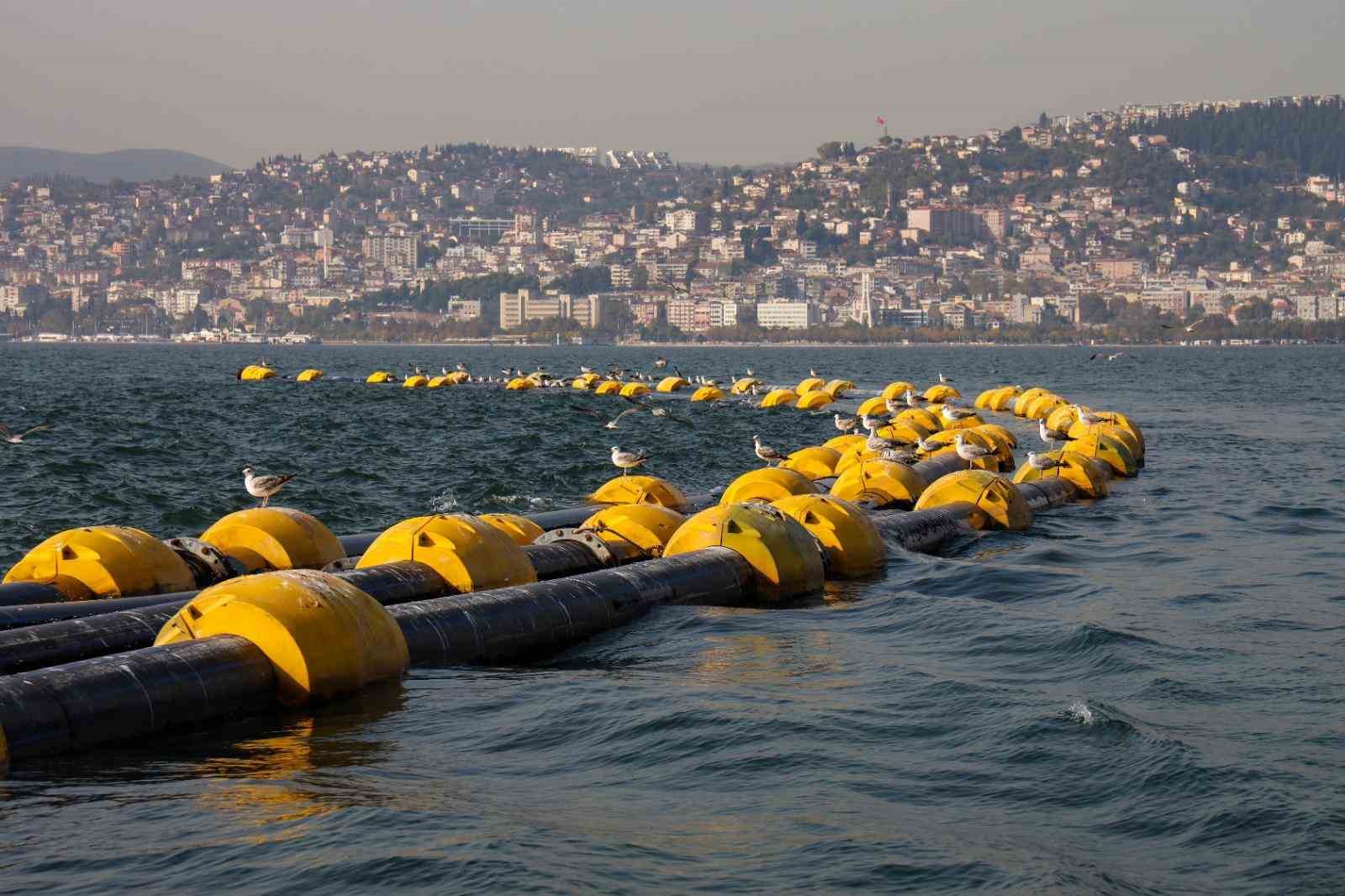 izmit-korfezinde-temizlik-calismalari-sonuc-verdi-2-saatte-100-kiloluk-mirmir-yakalandi