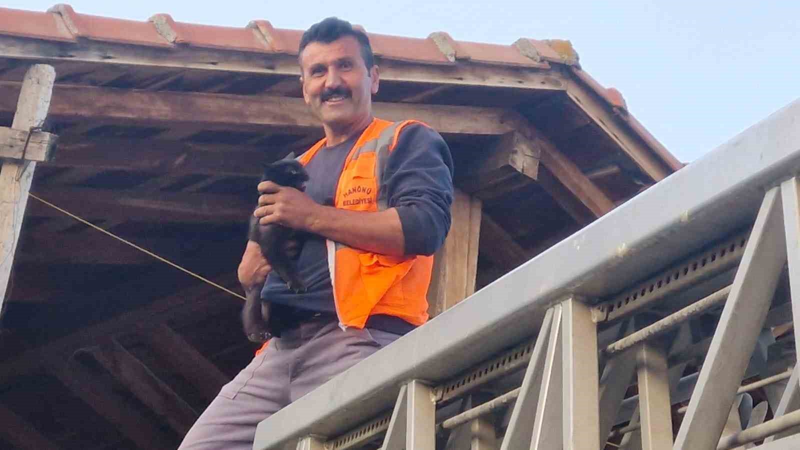 kastamonuda-evin-catisinda-mahsur-kalan-kediyi-itfaiye-ekipleri-kurtardi
