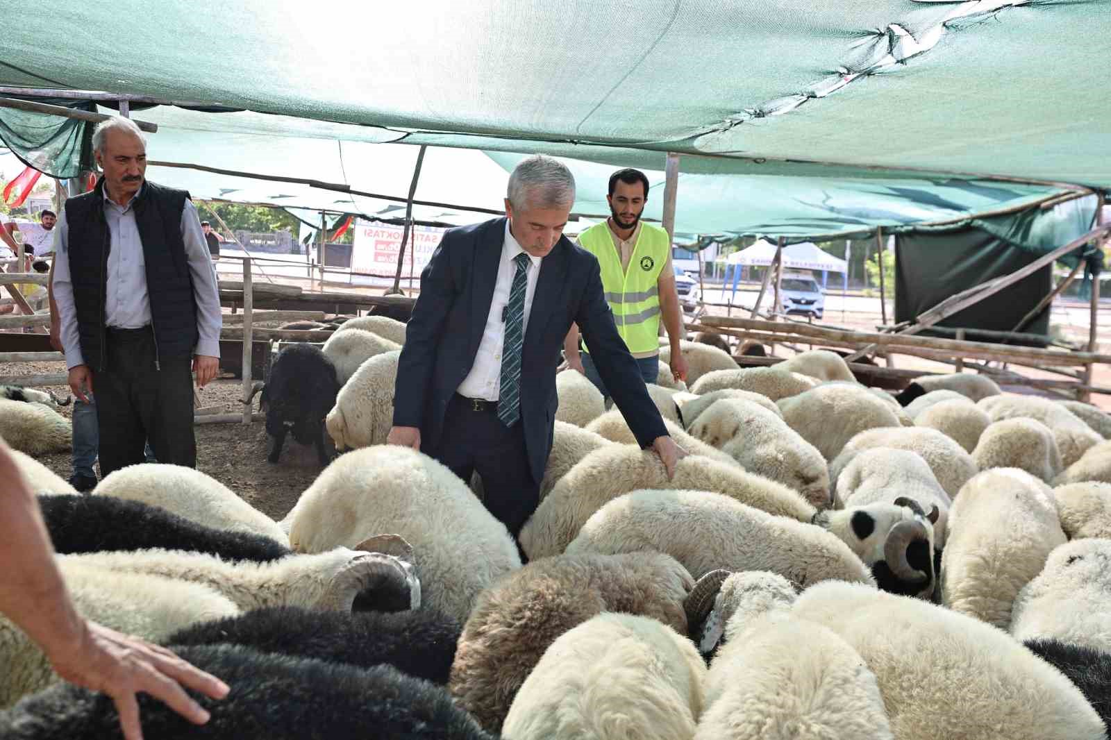 tahmazoglu-kurban-fiyatlarini-acikladi