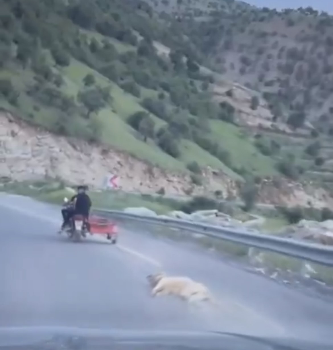 telef-oldugu-iddia-edilen-kopegi-motosikletle-suruklediler