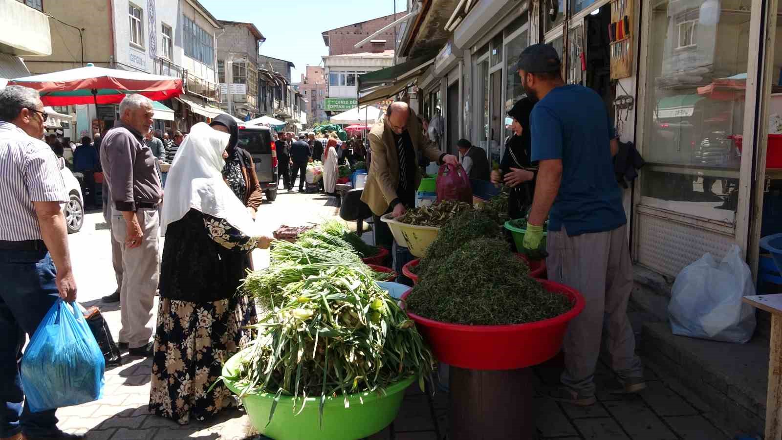 daglardan-toplanan-otlar-hem-sifa-hem-kazanc-sagliyor