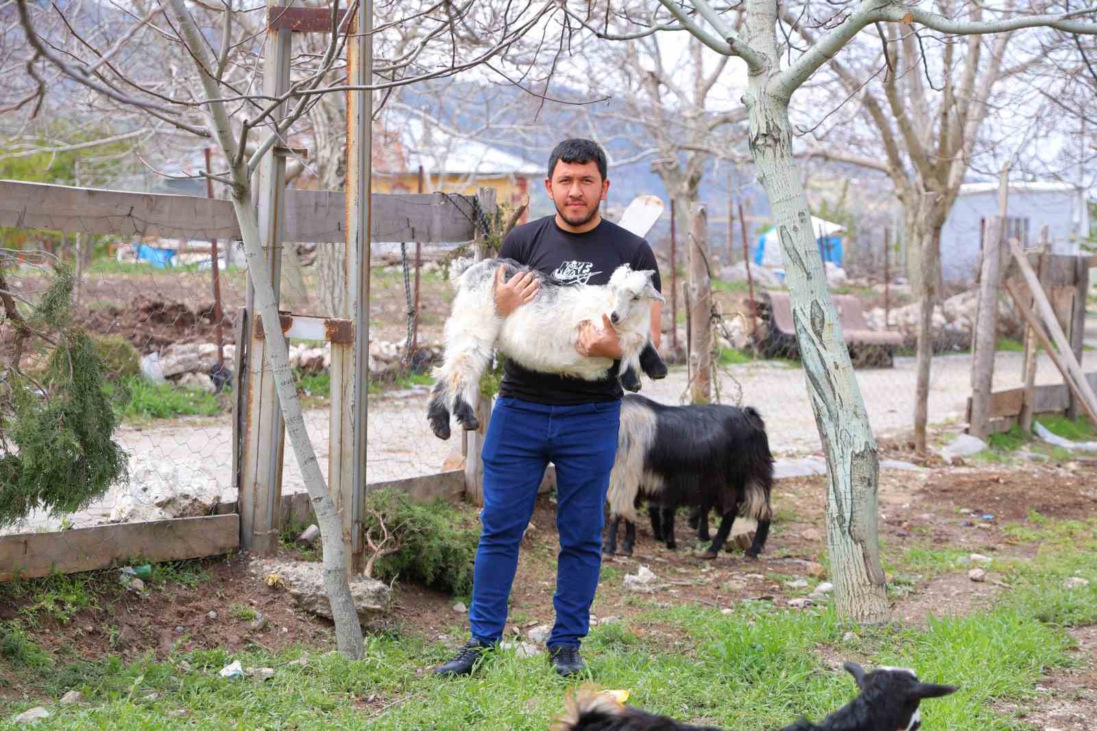 kahramanmarasta-cevizi-don-vurunca-ureticileri-farkli-alanlara-yoneldi