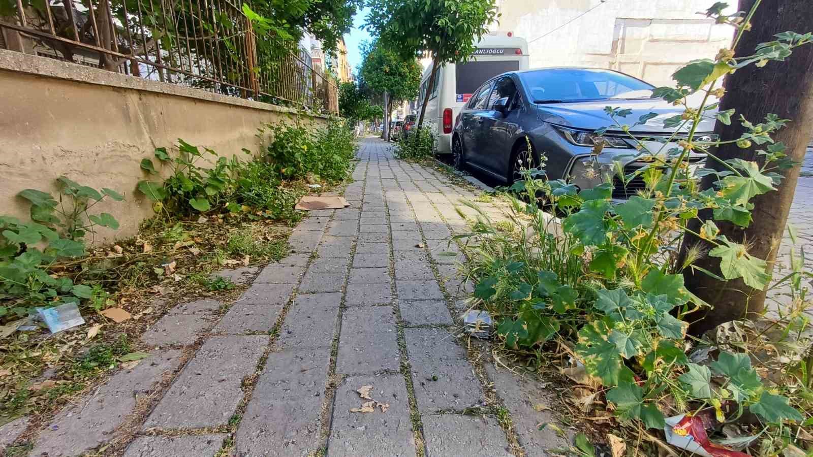 mera-degil-efelerin-merkez-mahallesi