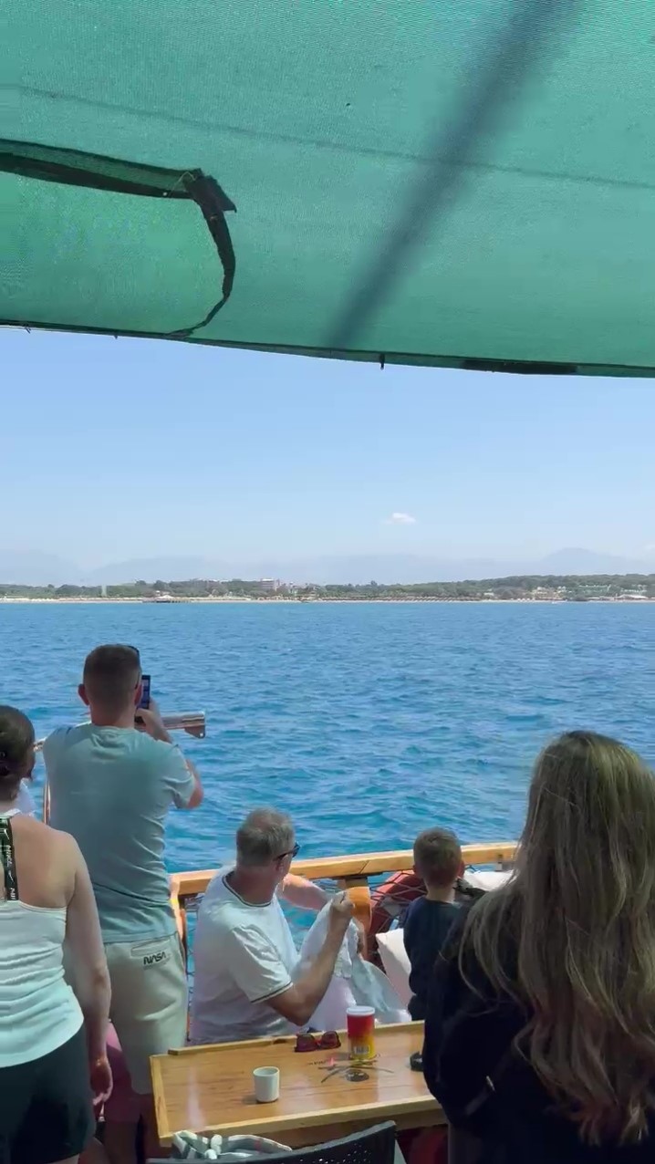 side-aciklarinda-akdeniz-foku-goruntulendi-turistler-hayretler-icinde-izledi