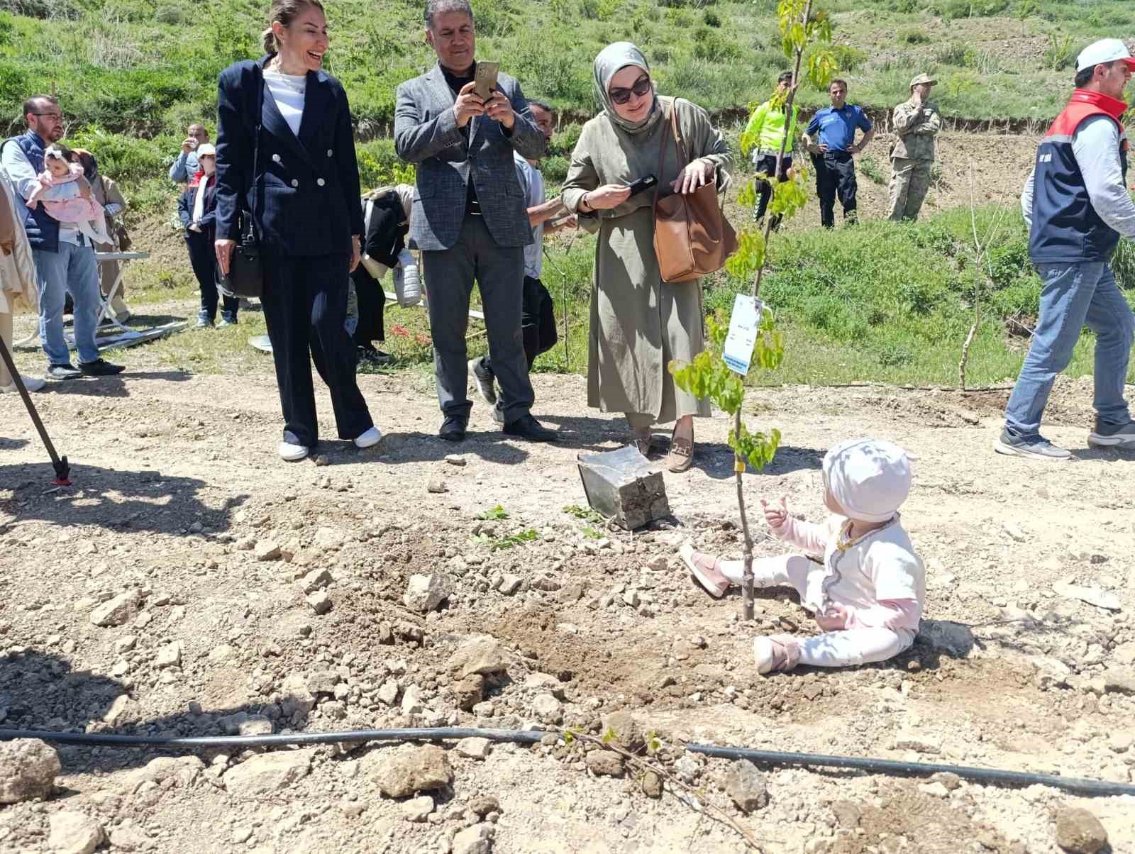 yeni-dogan-bebekler-hatira-ormanina-ilk-fidanlar-dikildi