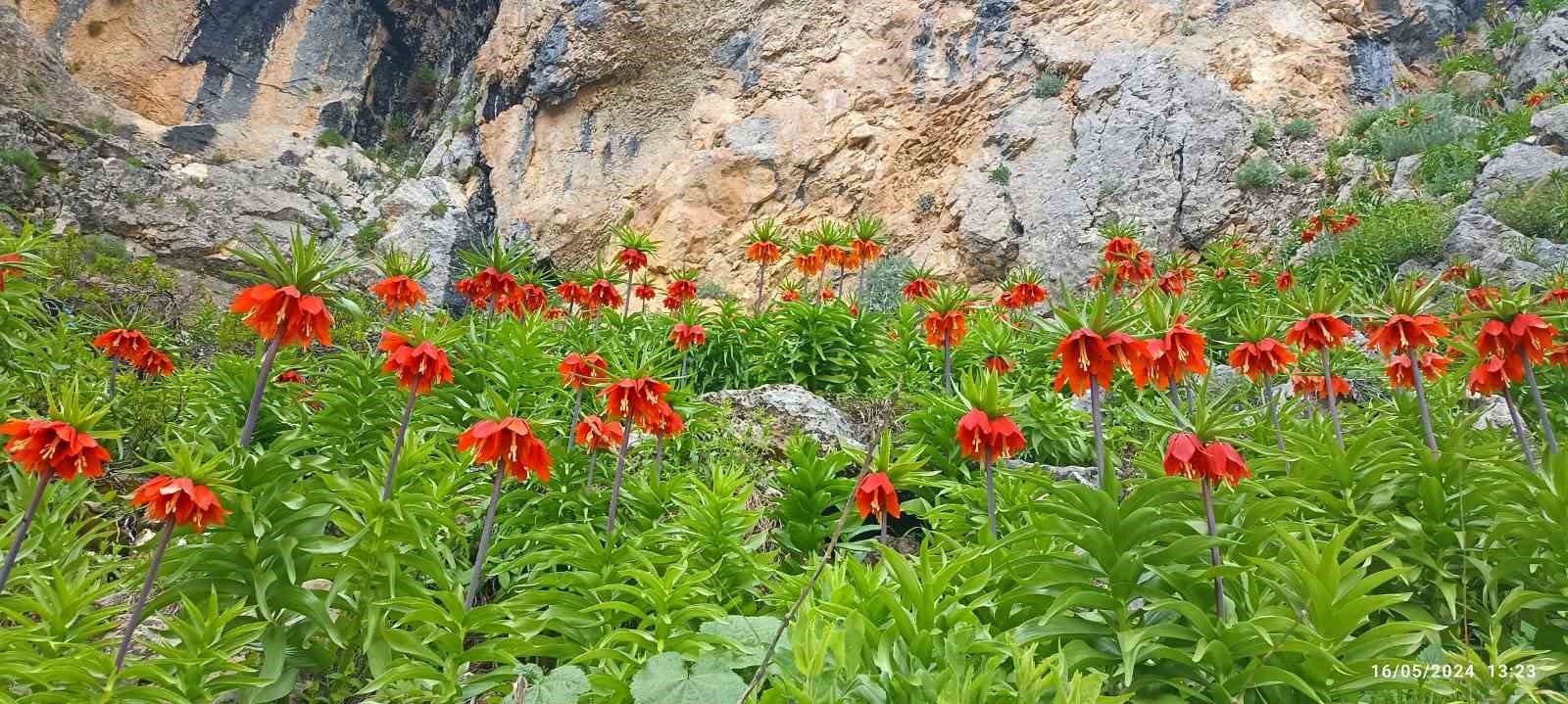 yetkililer-uyariyor-bu-ture-zarar-vermenin-cezasi-cok-agir