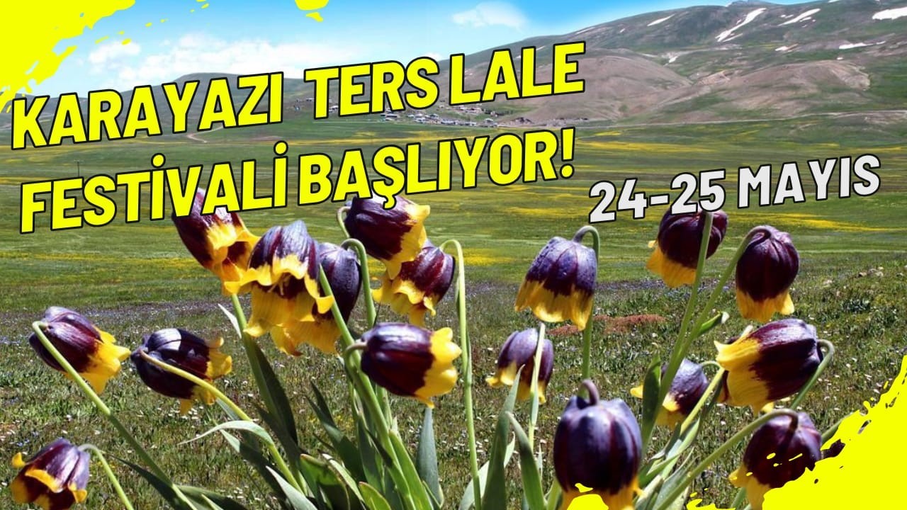 karayazi-ters-lale-festivali-basliyor