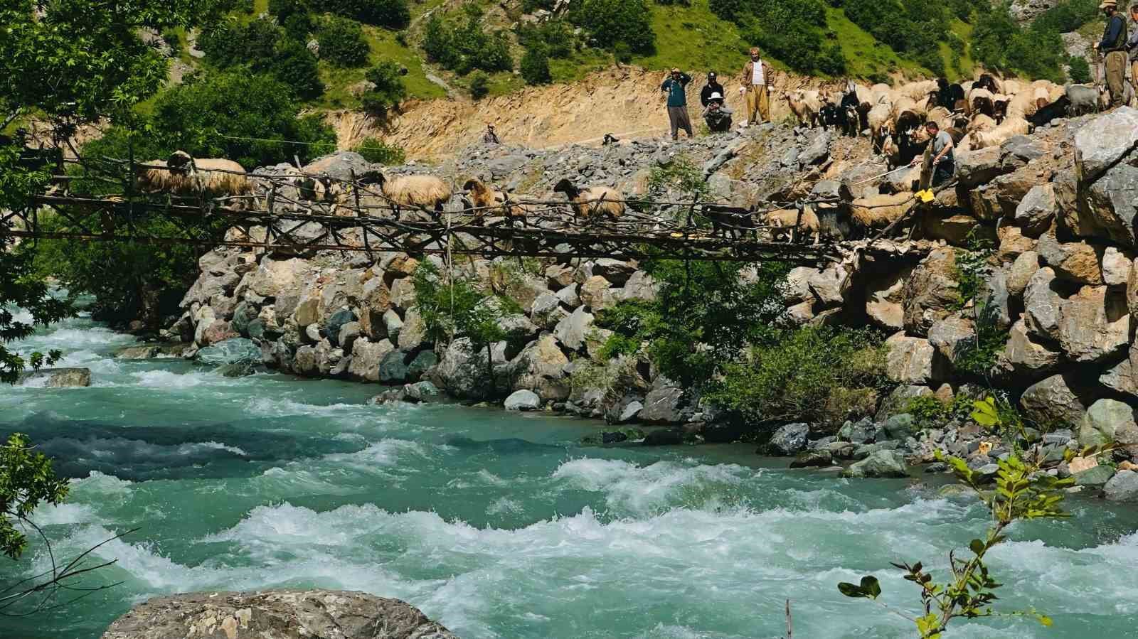 zorlu-cografyada-hayat-mucadelesi-avasin-deresindeki-asma-kopruden-gecen-koyun-surusu-gorenleri-hayran-birakti