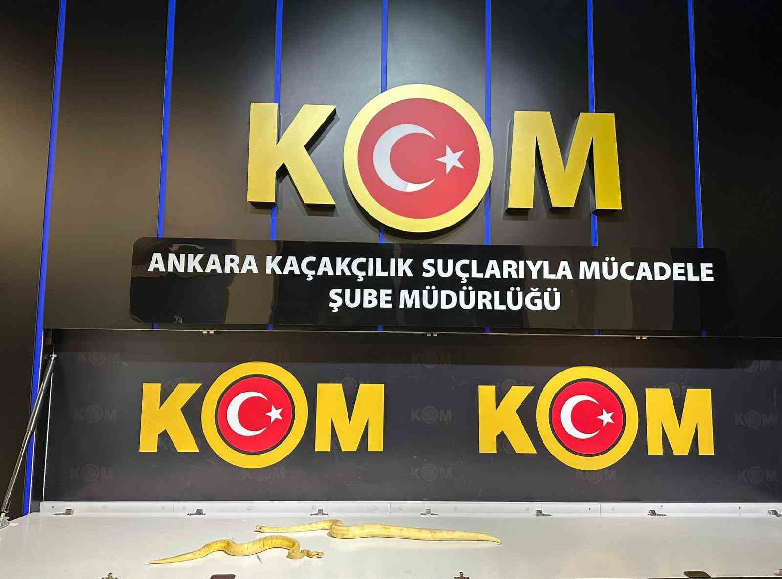 ankara-merkezli-5-ildeki-operasyonlarda-96-egzotik-hayvan-ele-gecirildi