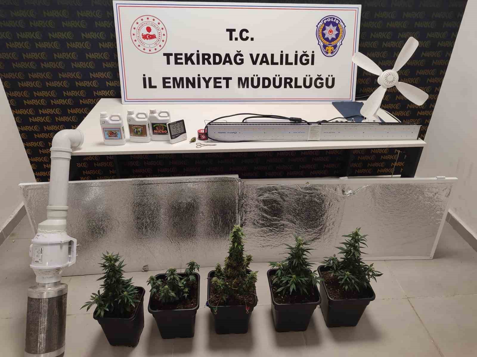 dolaptan-kenevir-serasi-cikti