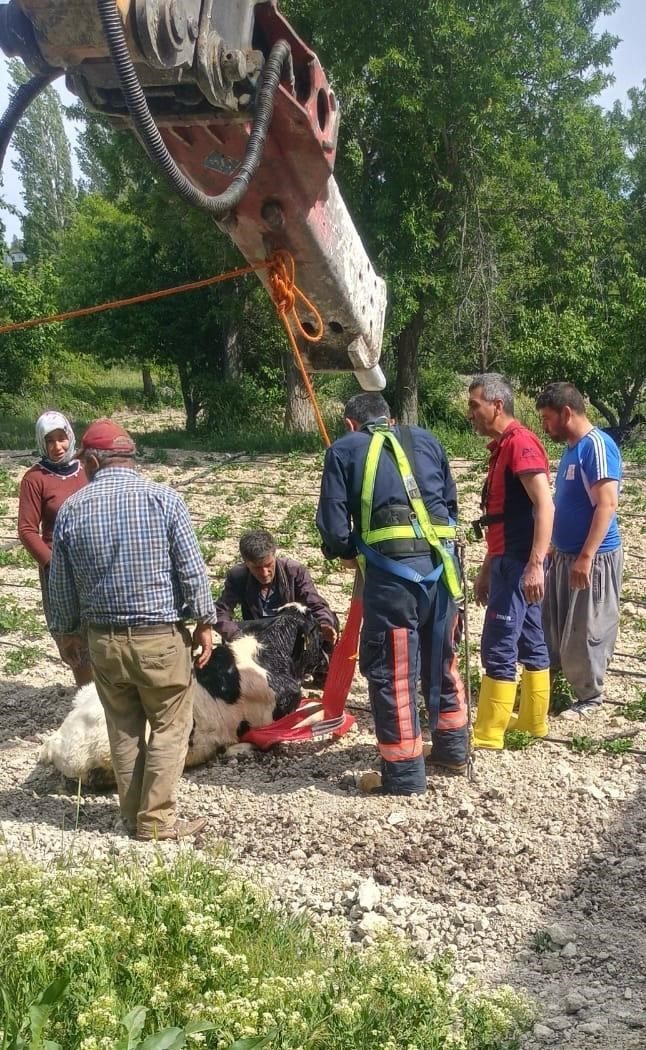 mersinde-10-metrelik-su-kuyusuna-dusen-danayi-itfaiye-kurtardi