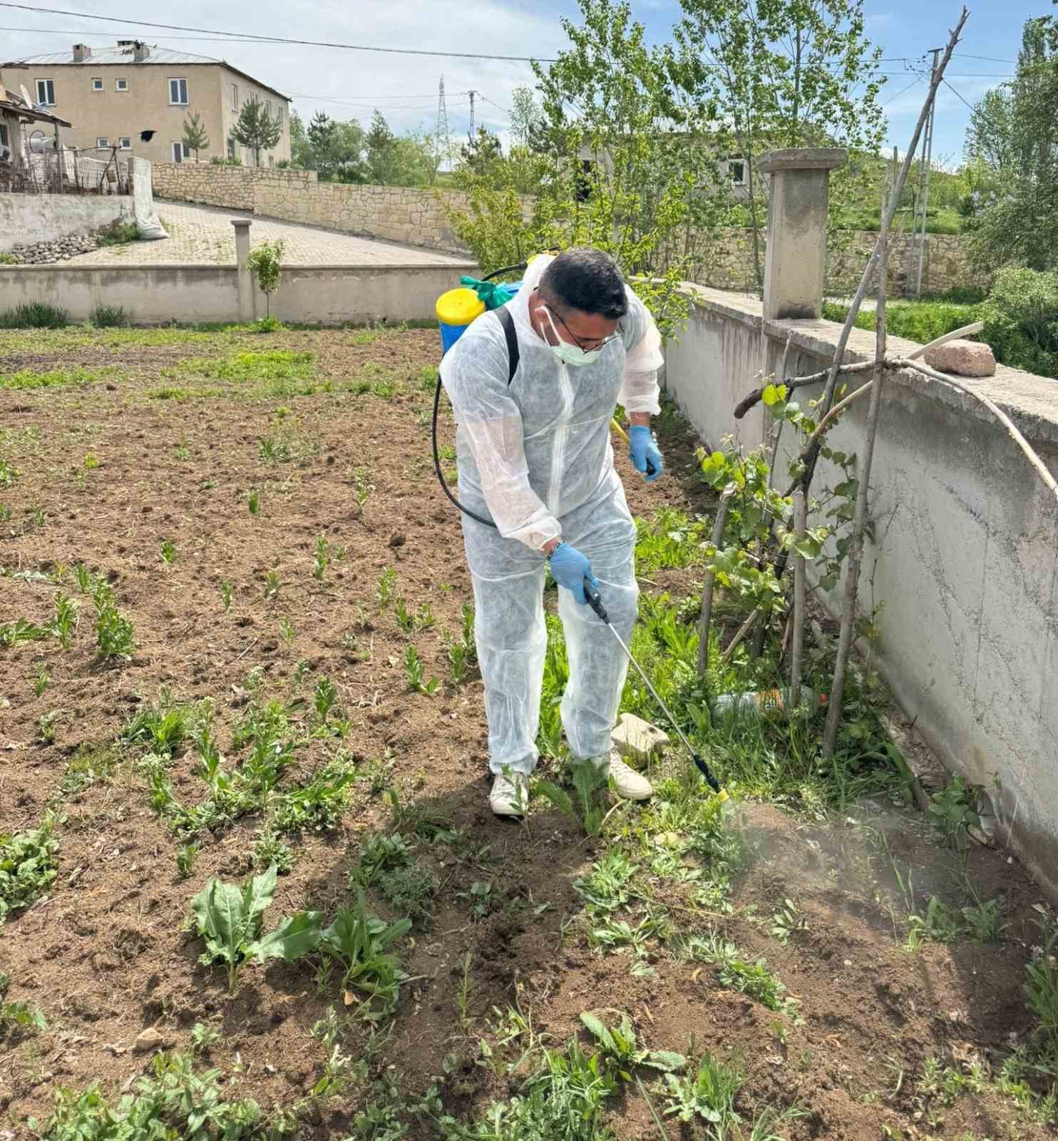 aydintepede-yabanci-ot-mucadelesi-baslatildi