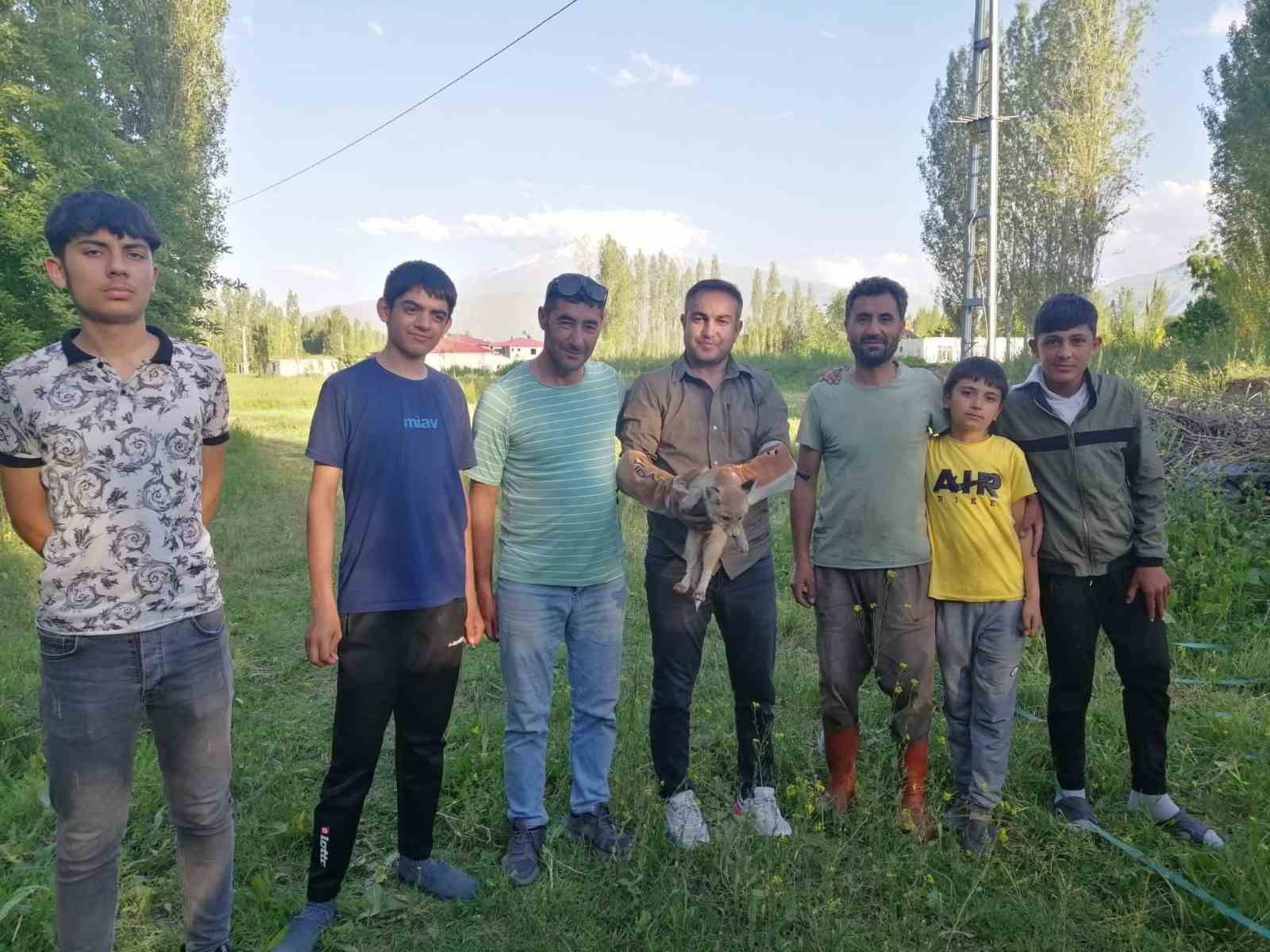 igdirda-yardima-muhtac-halde-bulunan-tilki-dogal-yasamina-kavusturuldu