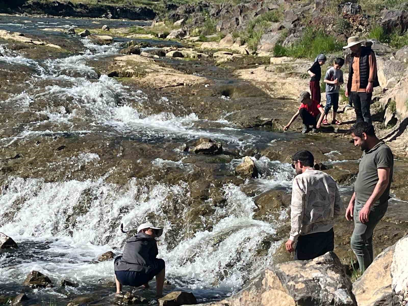 inci-kefalinin-gocu-yerli-ve-yabanci-turistlerin-ilgi-odagi-oldu