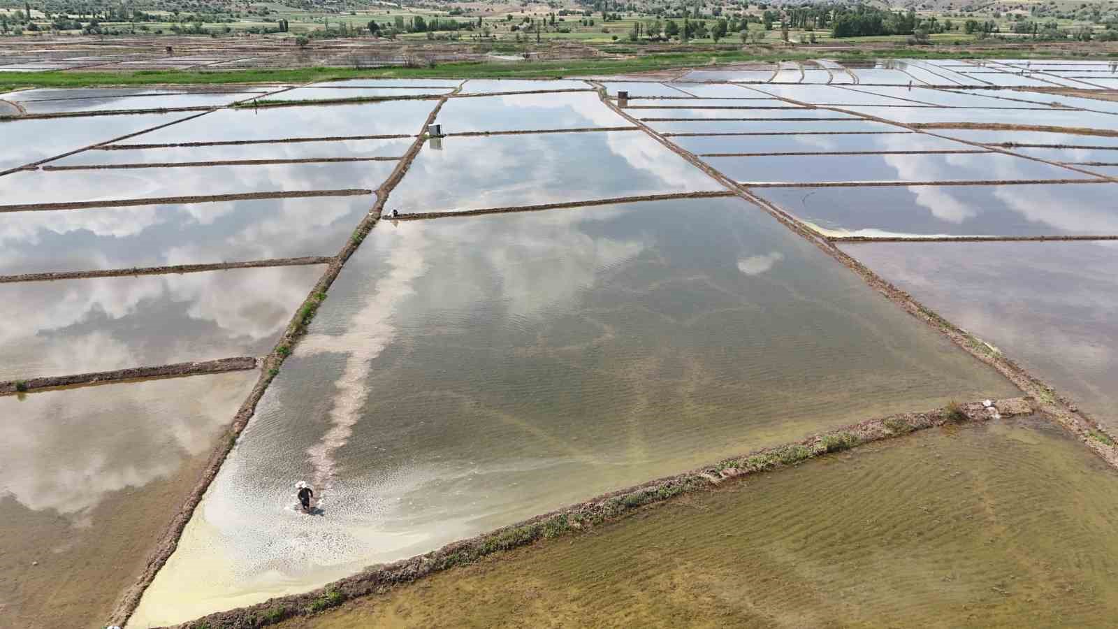 kizilirmak-nehrinin-besledigi-tarlalarda-dron-ile-celtik-ekimi
