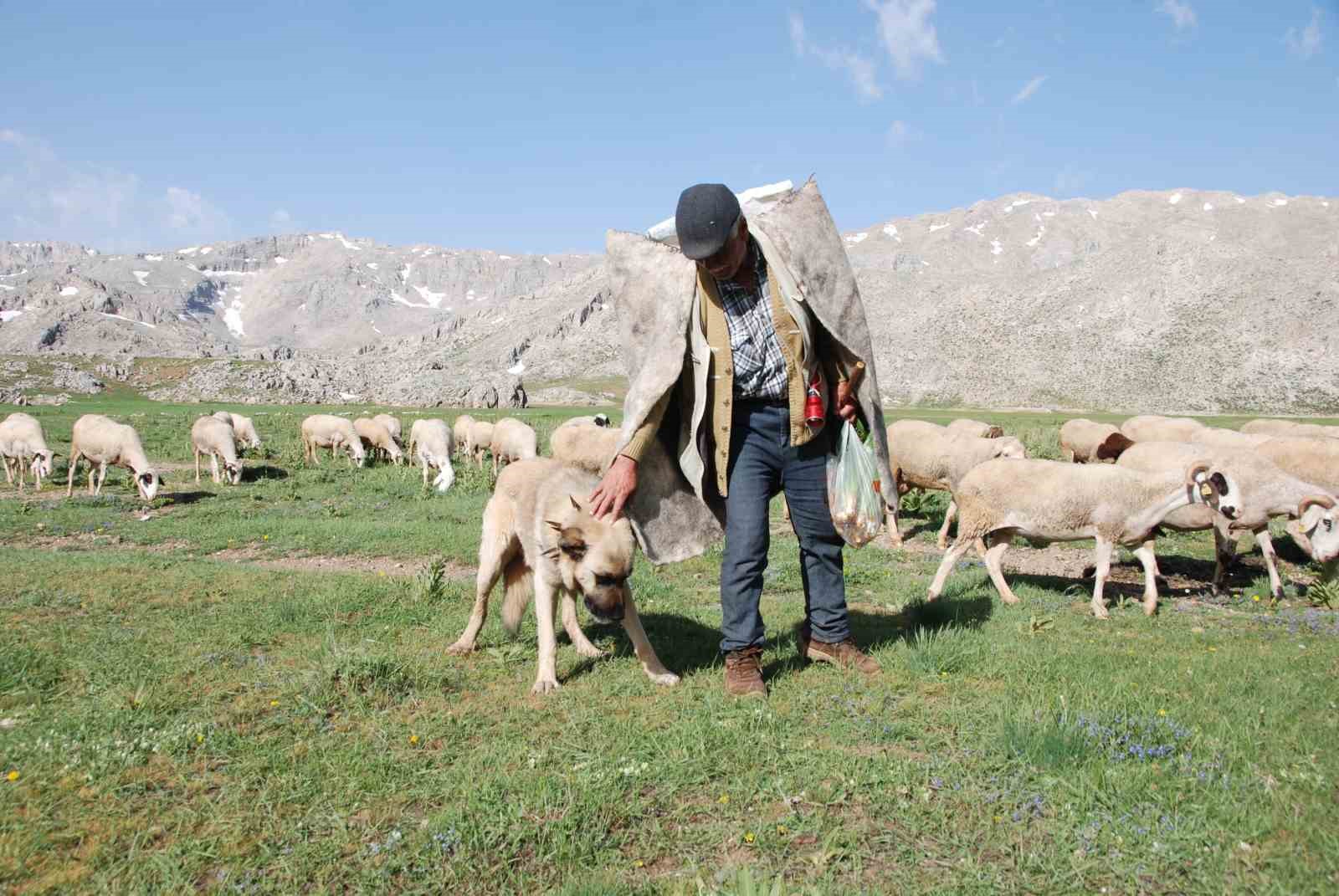 antalyada-yoruklerin-yayla-seruvenleri-basladi