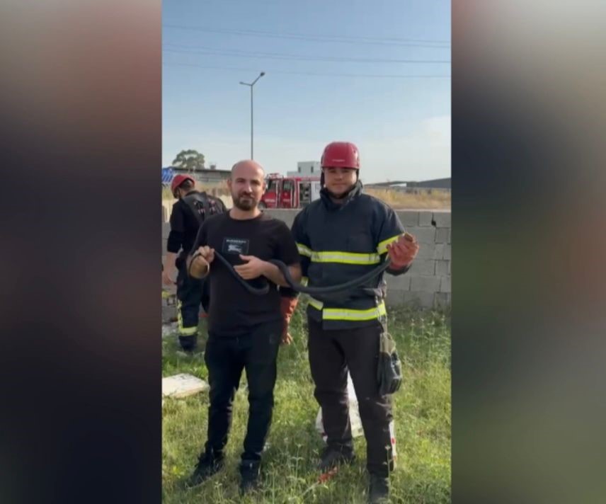 bahceye-giren-yilanla-hatira-fotografi-cektirdiler