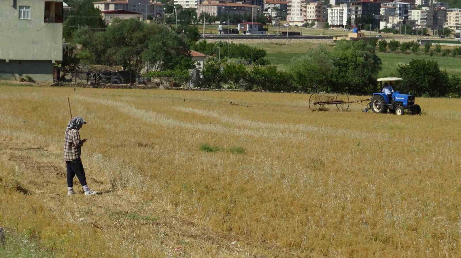 batmanda-mercimek-hasadi