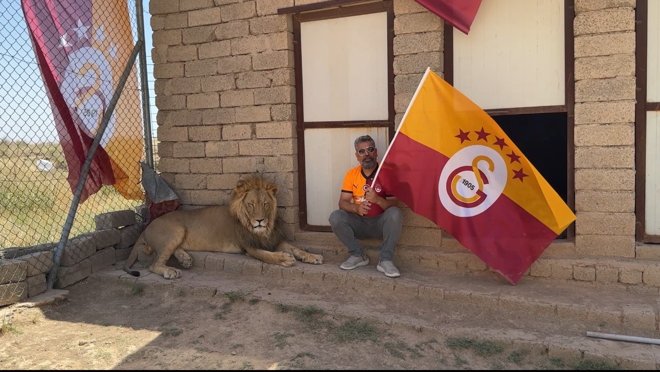 galatasarayli-taraftar-sampiyonlugu-aslanlariyla-kutladi