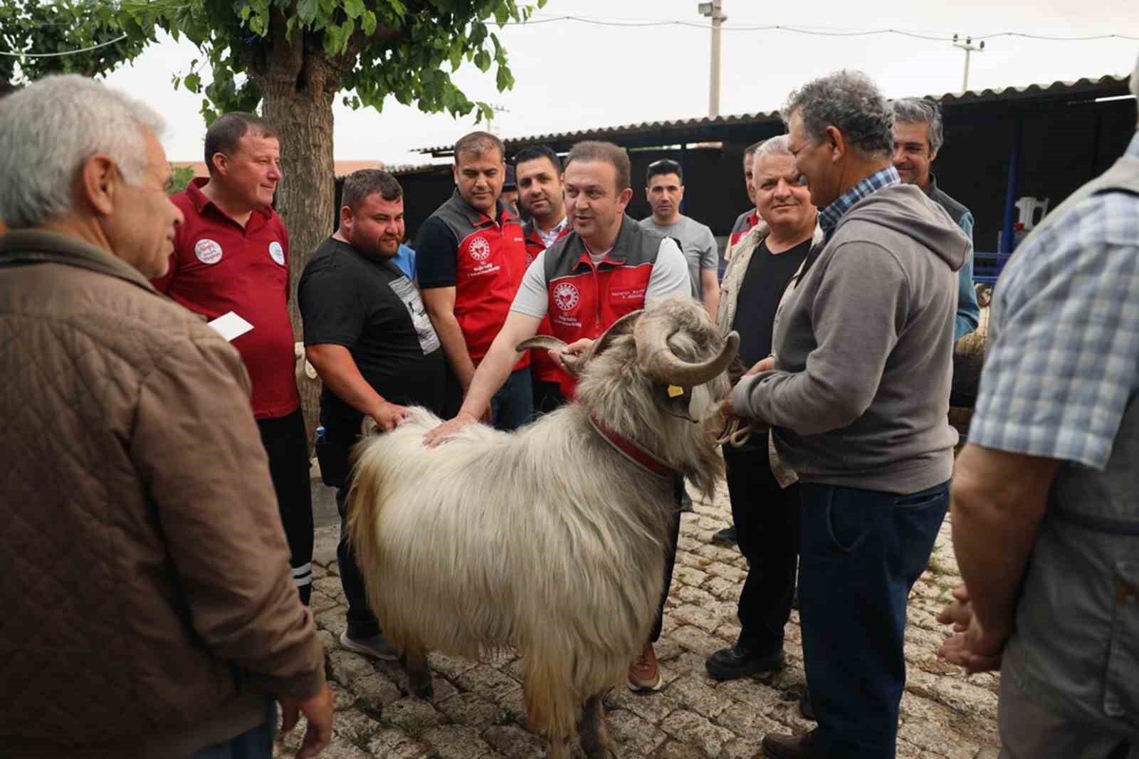 kurban-pazarlarinda-saglik-ve-hijyen-kontrolu