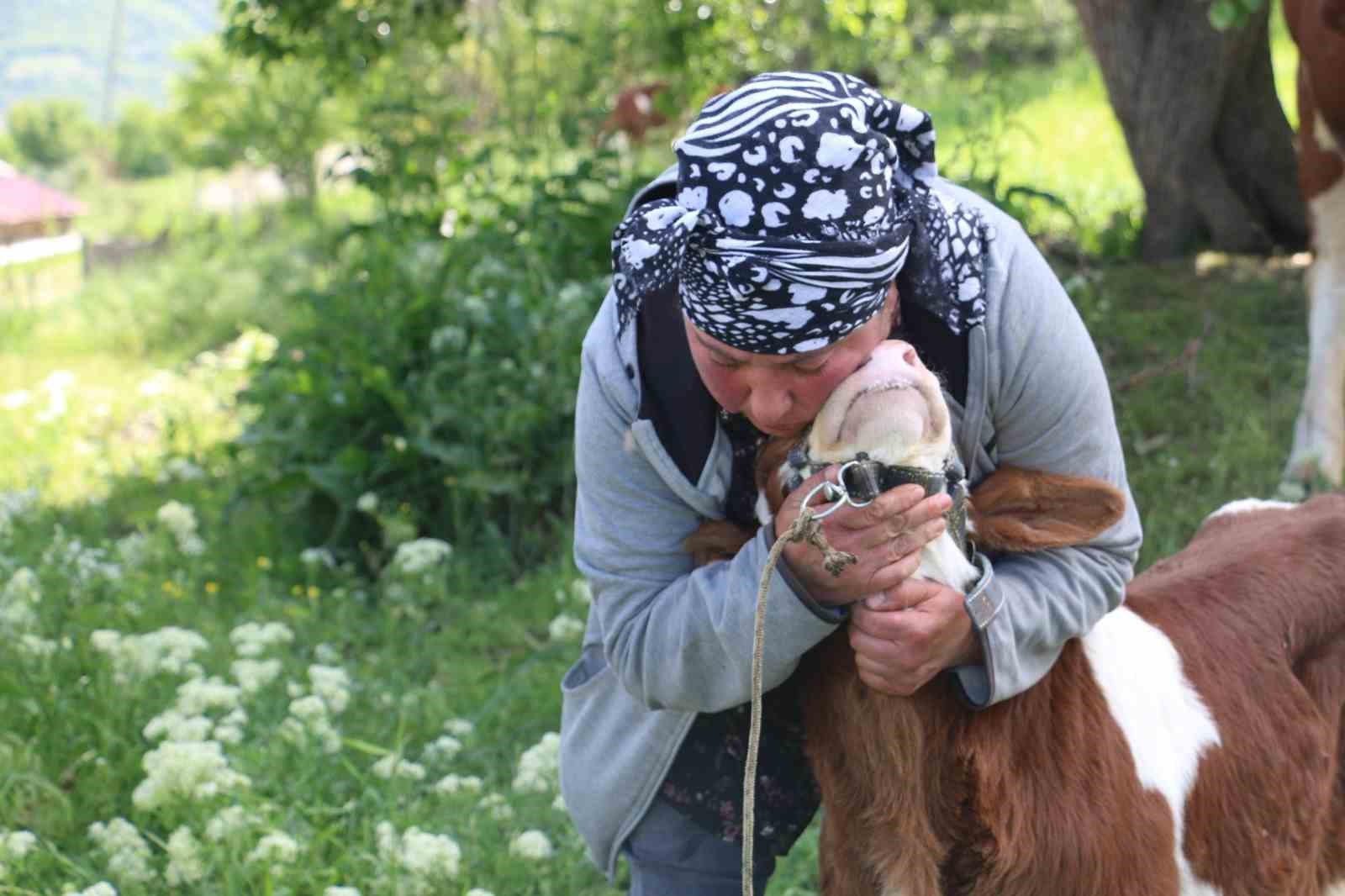 gurcistanli-nino-erzincan-ciftciligine-renk-katiyor