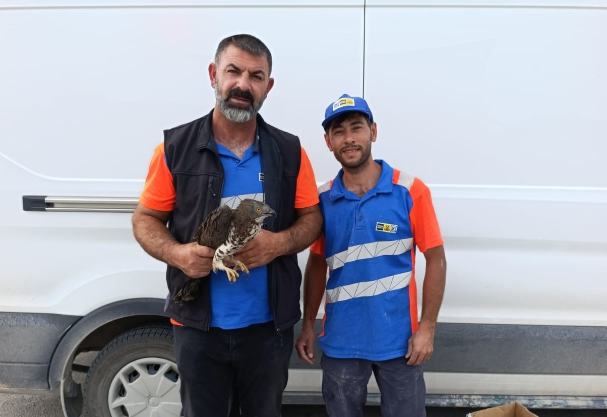 karapinarda-yarali-kizil-sahine-sefkat-eli