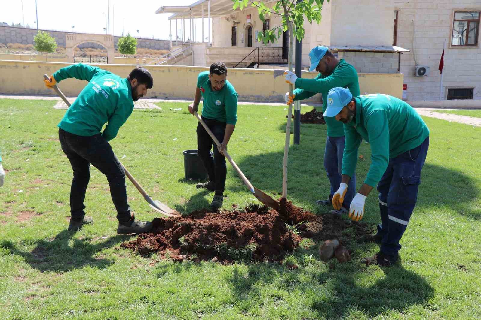 yesil-alan-calismalariyla-yasamin-kalitesi-arttiriliyor