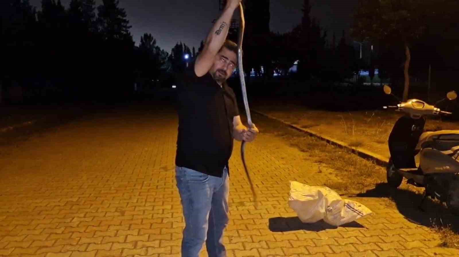 yilanlara-fisildayan-adam-camasir-makinesine-giren-1-bucuk-metrelik-karayilani-nasihat-vererek-dogaya-birakti