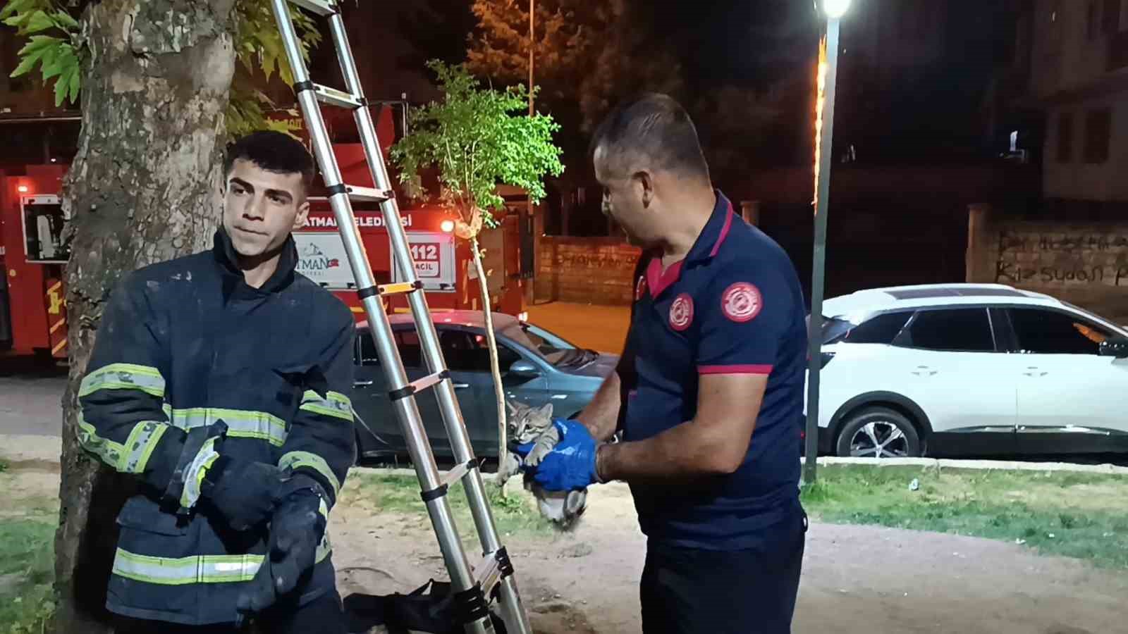 agacta-mahsur-kalan-kedi-itfaiye-ekibi-tarafindan-kurtarildi
