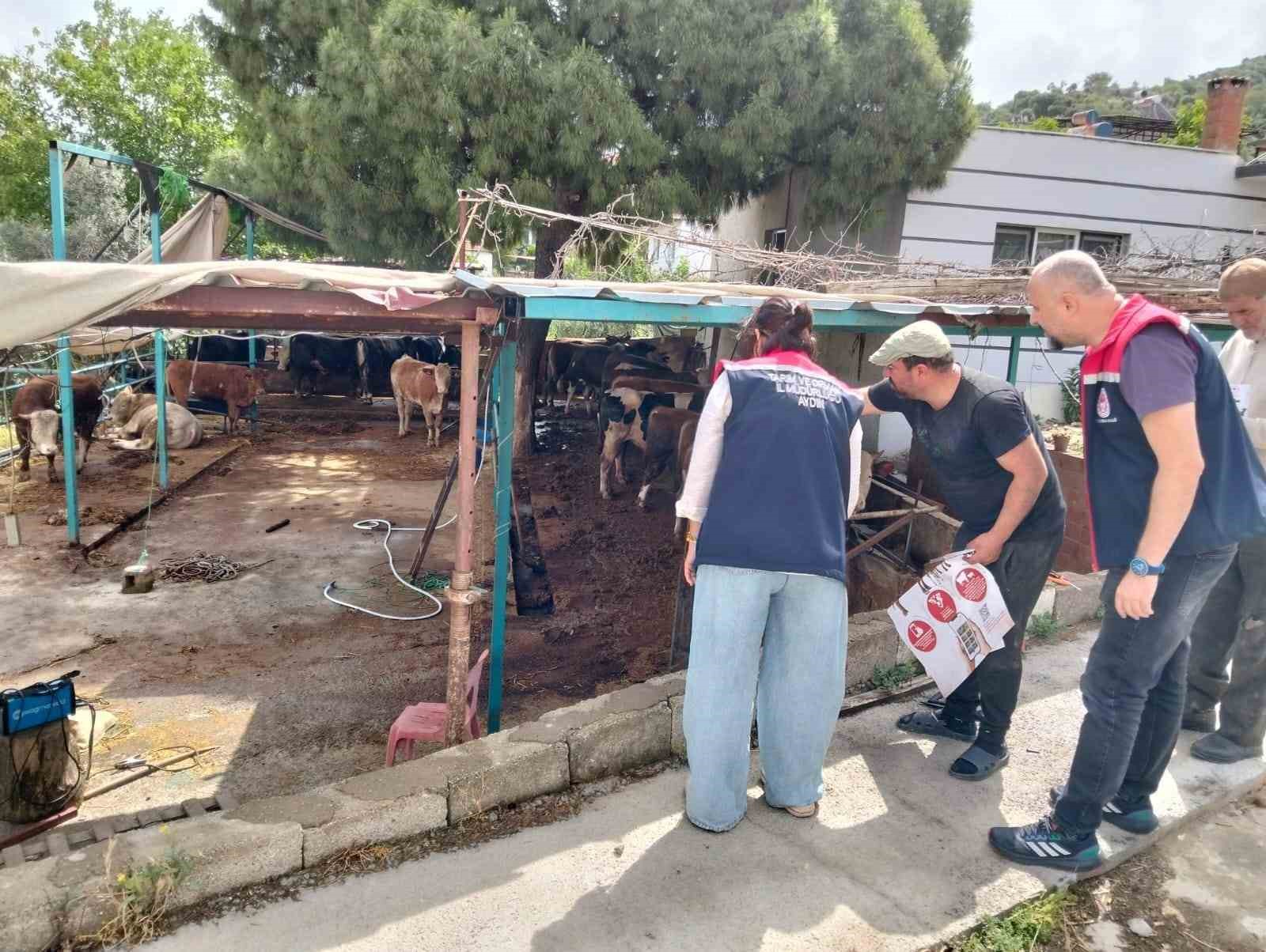 aydinda-kurban-satis-ve-kesim-yerleri-denetlendi