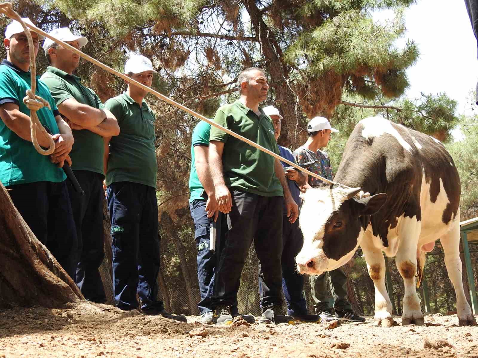 gaziantep-buyuksehir-kurban-yakalama-timi-bayrama-hazir