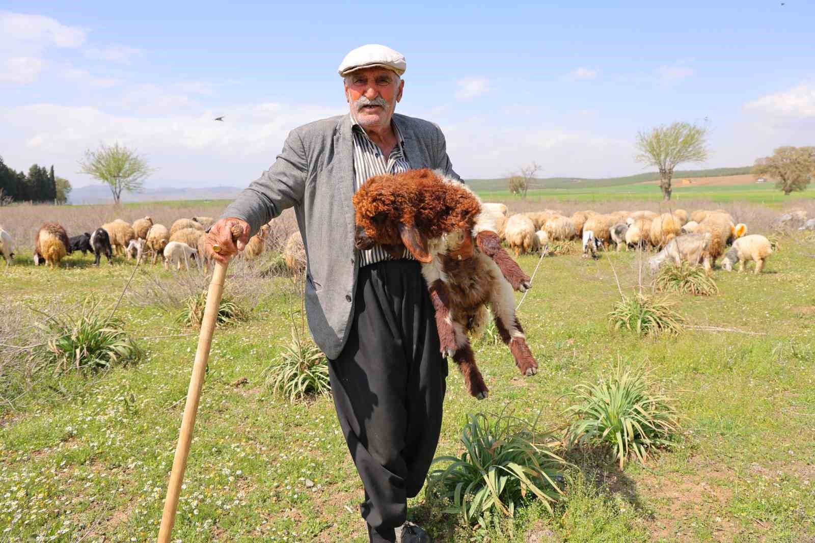 kendi-hayvanlarina-cobanlik-yapan-huseyin-dede-hayvancilik-el-isinden-cok-guzeldir