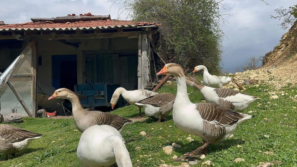 kick-bokscu-kaz-tuyu-topluyor-ihrac-ediyor-yorgan-yapiyor