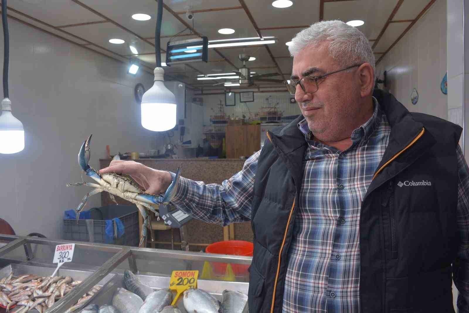 sinopta-dev-mavi-yengec-gorenleri-sasirtti