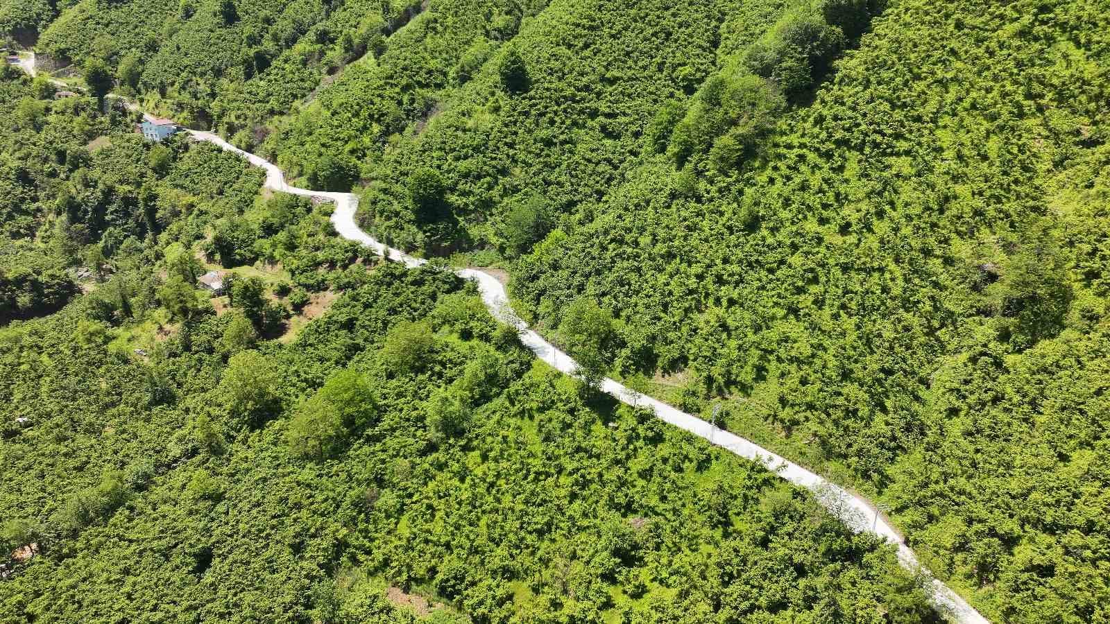 termede-beton-yol-calismasi