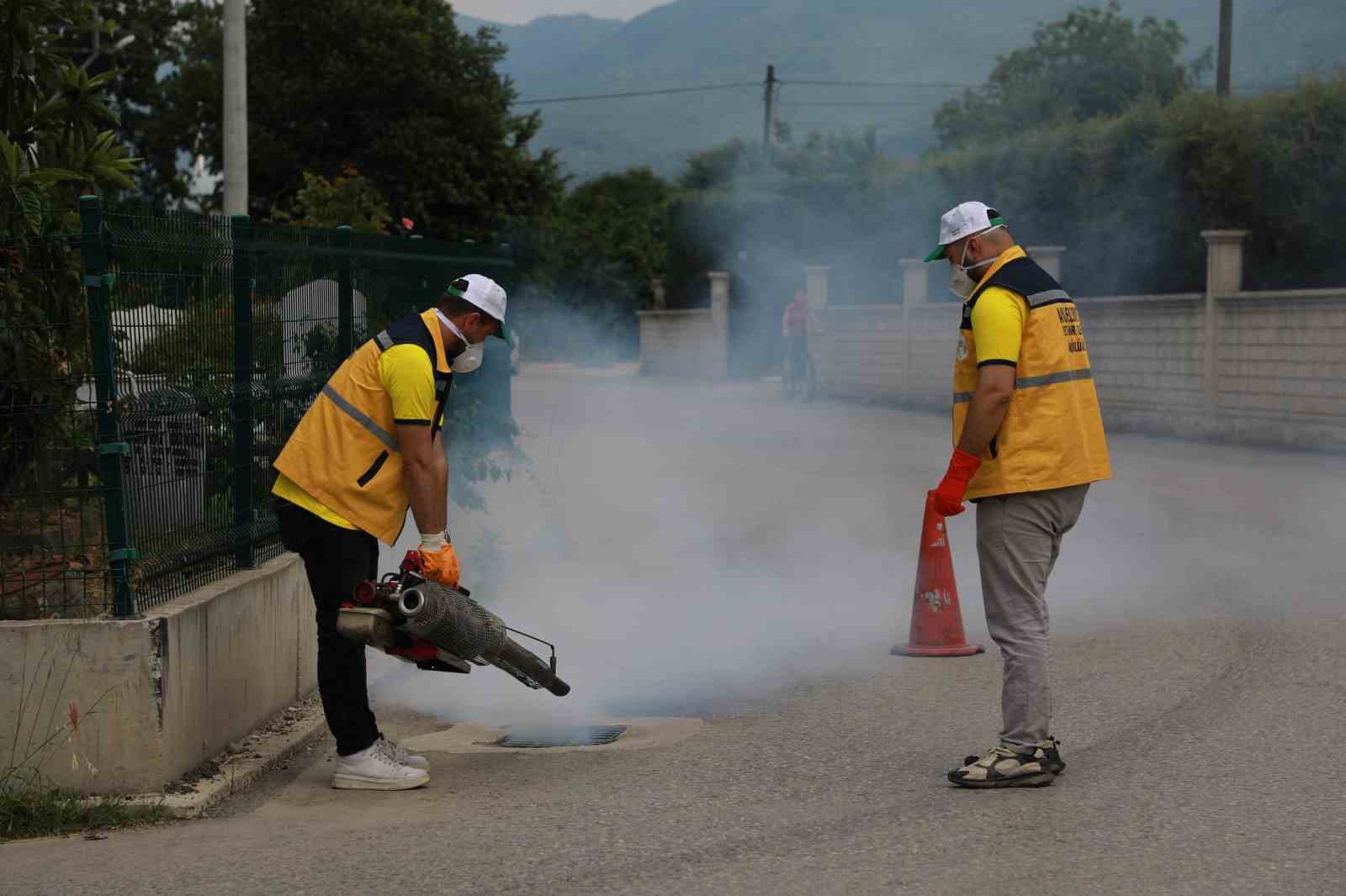 akyazida-ilaclama-calismalari-araliksiz-devam-ediyor