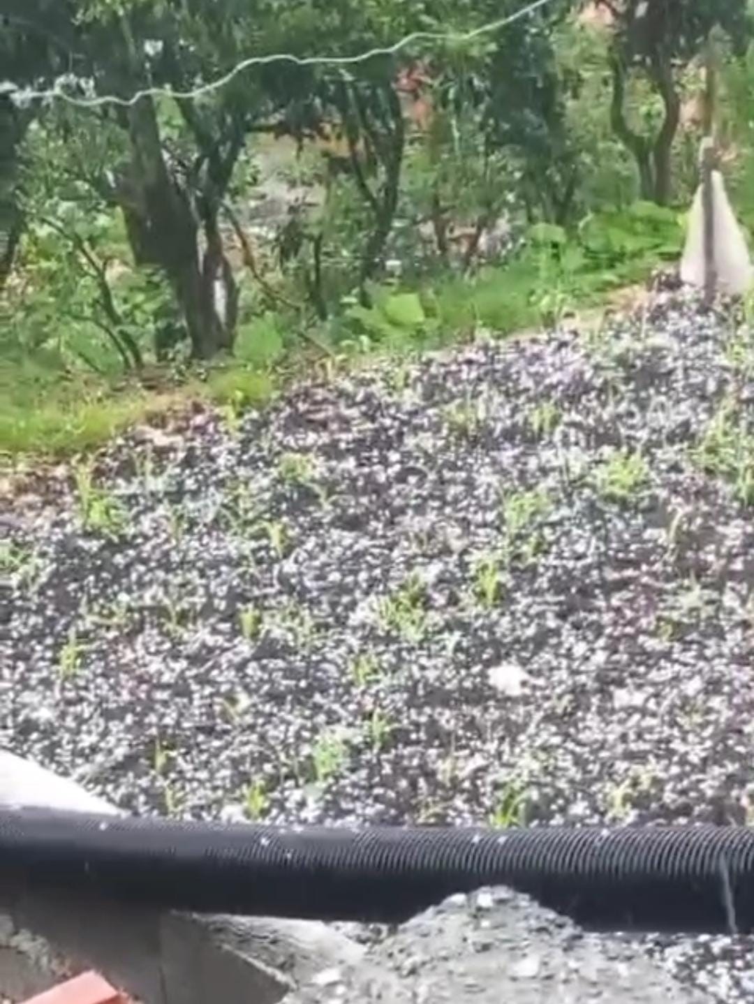 cay-ureticilerine-dolu-surprizi