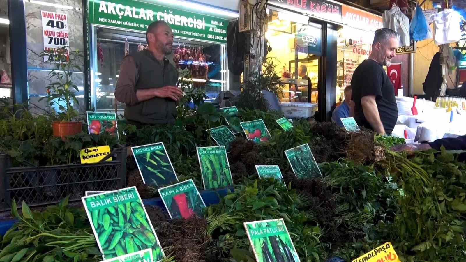 hem-ekonomik-hem-de-organik-fide-tezgahlari-hareketlendi