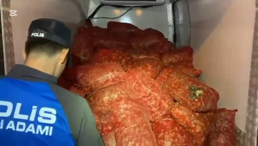 samsunda-2-ton-900-kilo-kacak-midye-ele-gecirildi