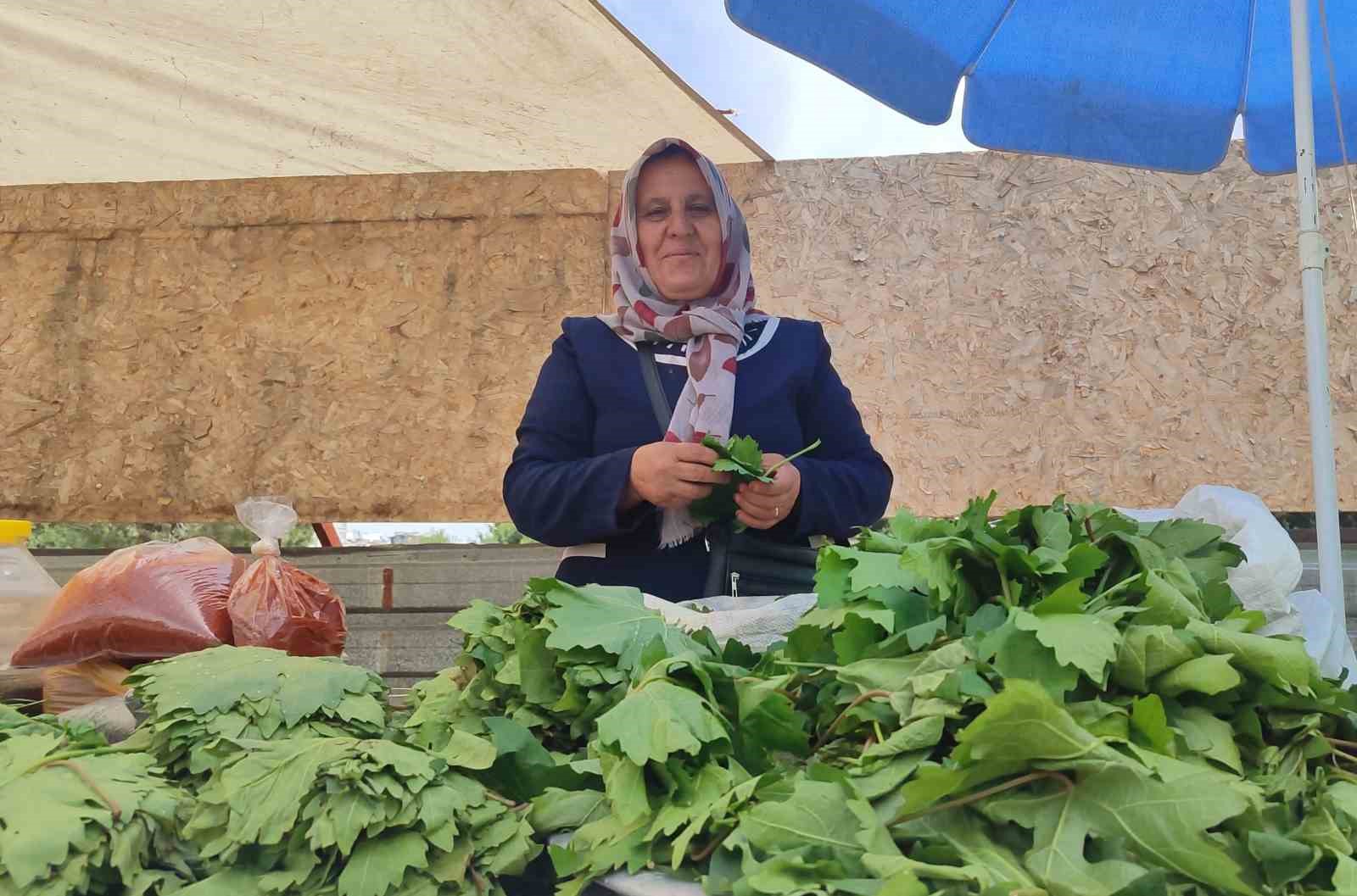 5-cocuk-annesi-asma-yapragi-satarak-aile-ekonomisine-destek-oluyor
