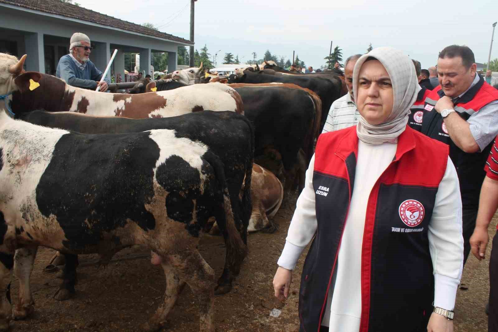 duzcede-kurban-bayrami-oncesi-siki-denetim