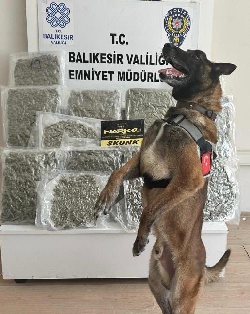 narkotik-kopegi-yasa-sayesinde-10-kilo-esrar-yakalandi