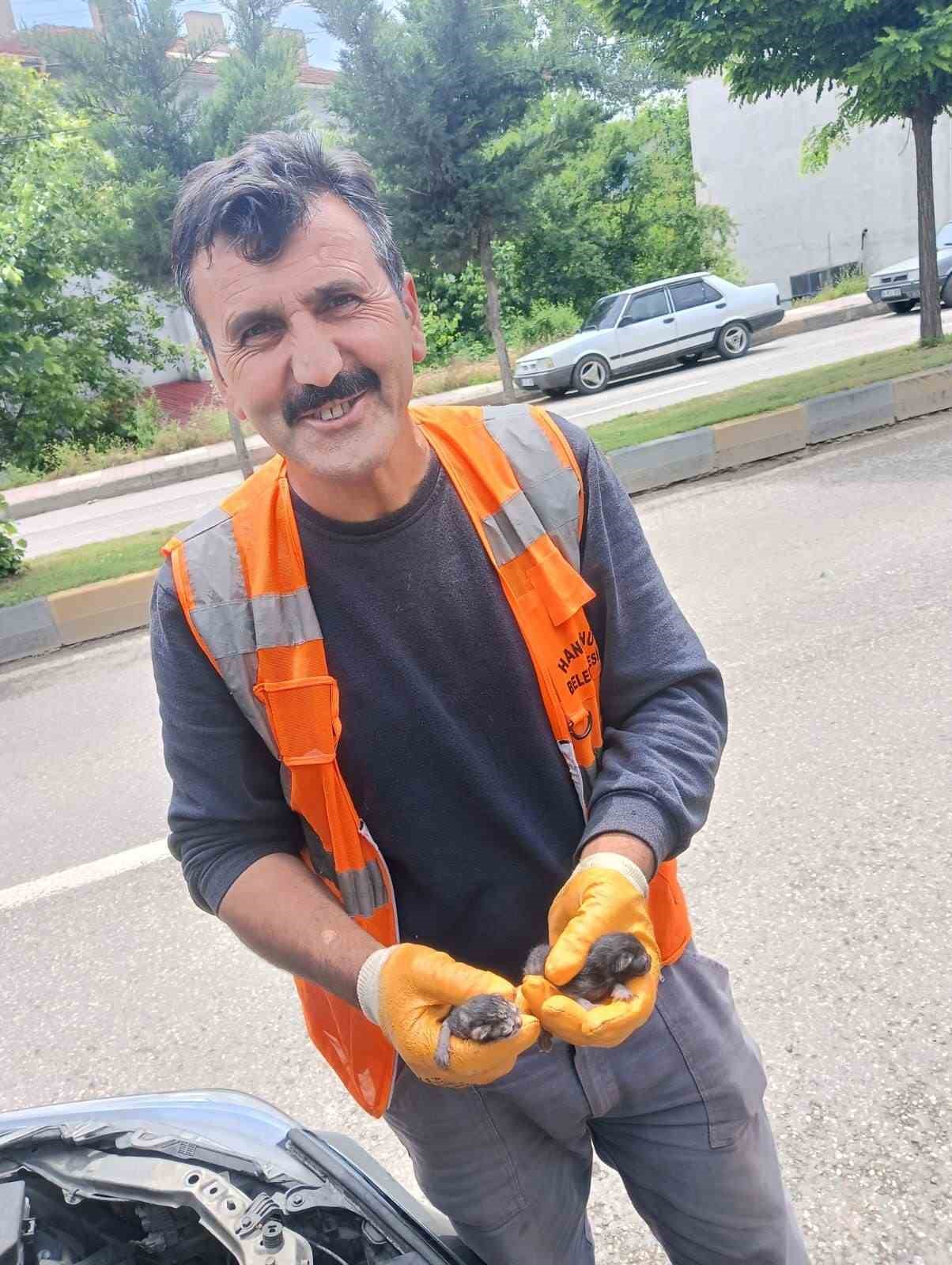 arac-motoruna-sikisan-yavru-kedileri-itfaiye-ekipleri-kurtardi