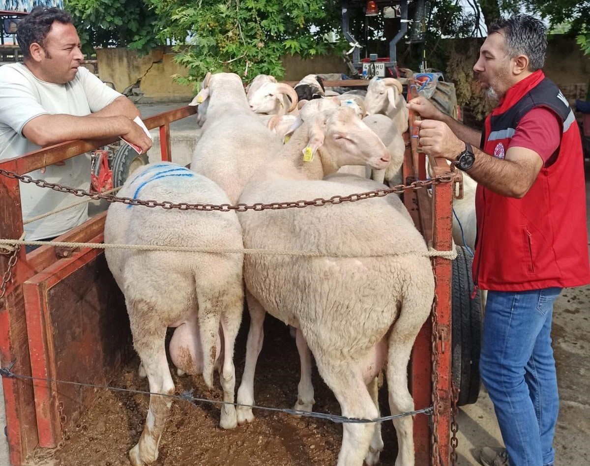 hayvan-pazarinda-bayram-oncesi-siki-denetim
