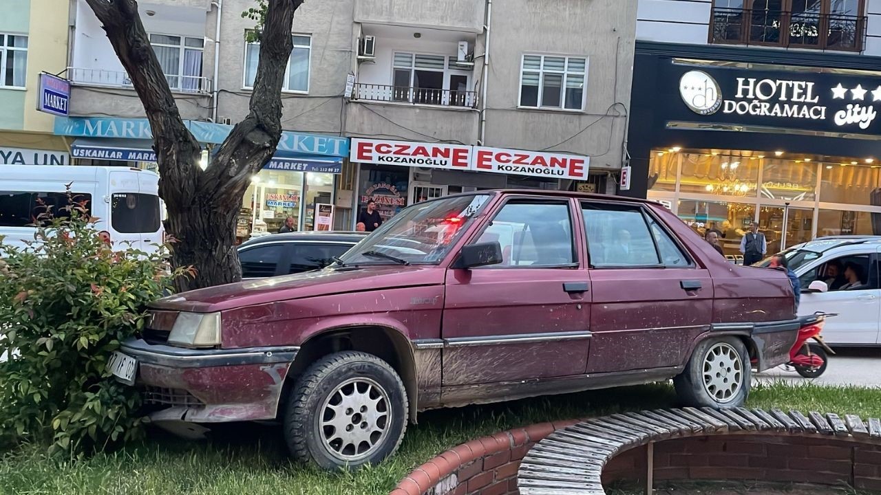 park-halindeyken-haraket-eden-otomobil-agaraca-carparak-durabildi