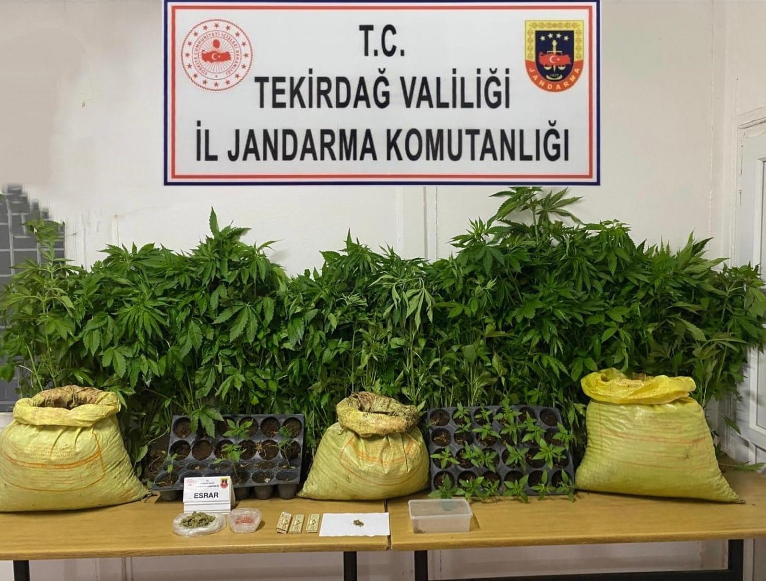 tekirdagda-jandarmadan-uyusturucu-operasyonlari-cok-sayida-madde-ele-gecirildi