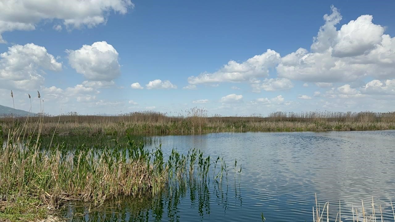 eber-golunde-azalan-su-seviyesi-endise-verici-boyutlara-geldi