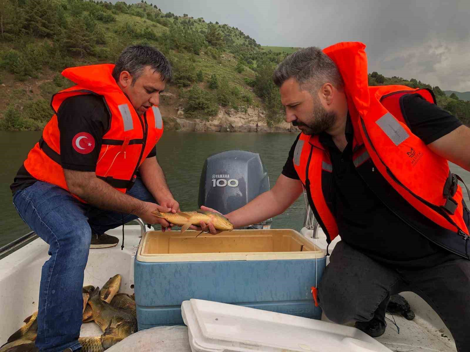 karsta-sazan-baliklarinin-ureme-donemleri-arastiriliyor