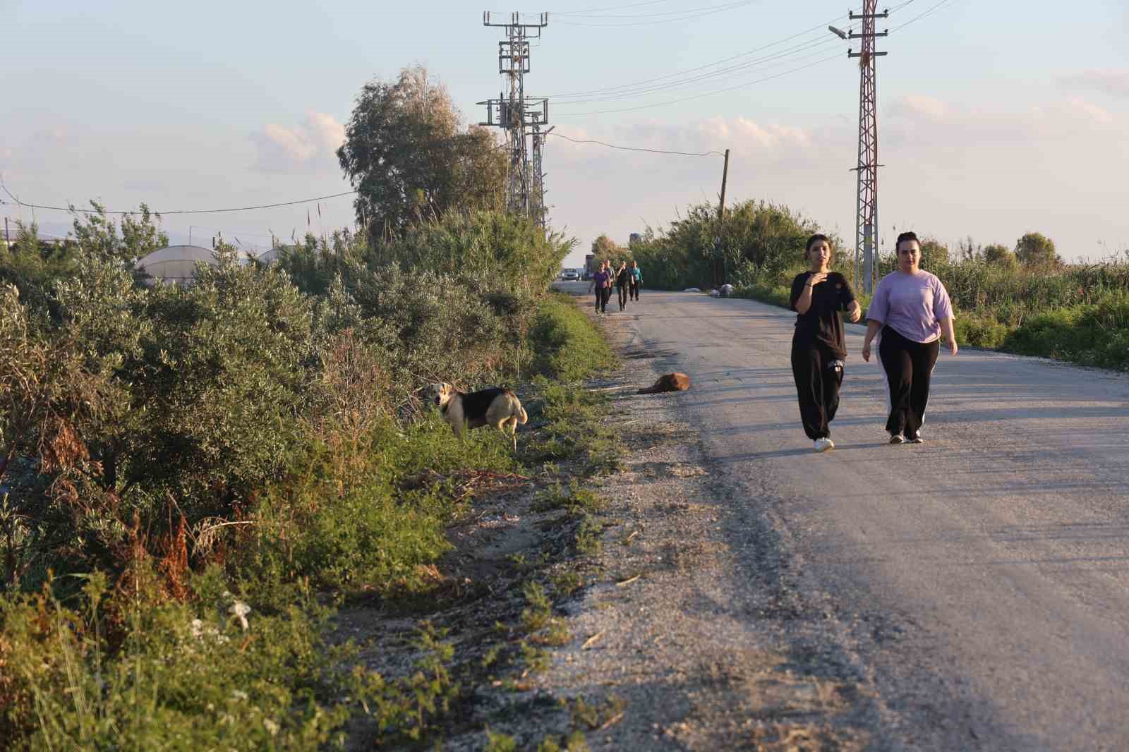 kuduz-karantinasinin-oldugu-4-mahallede-sokak-kopekleri-vatandaslari-tedirgin-ediyor